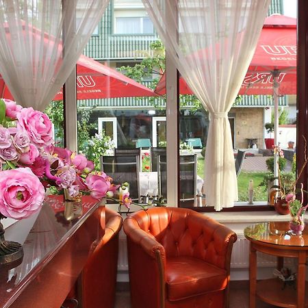 Casa Jasmine Otel Braşov Dış mekan fotoğraf
