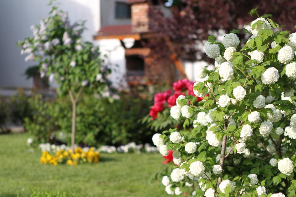 Casa Jasmine Otel Braşov Dış mekan fotoğraf
